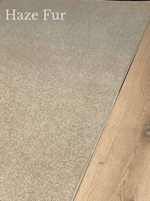 pacific dyed nylon carpet