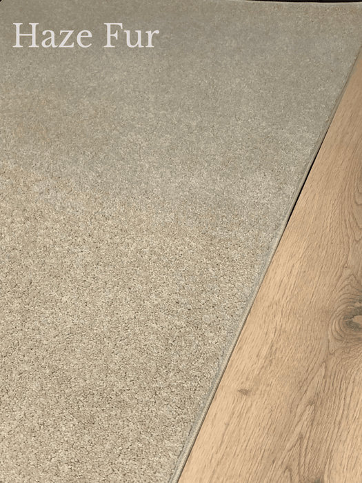 Pacific Carpet - Roll