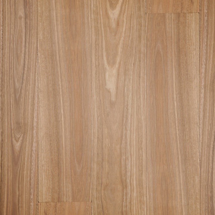 Solid Spotted Gum Timber Flooring - Box